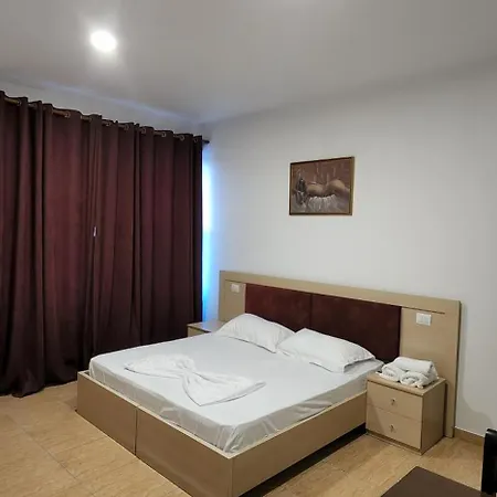 Hotel Kleo Airport *